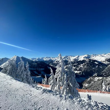 Ferienhaus Dorfgastein